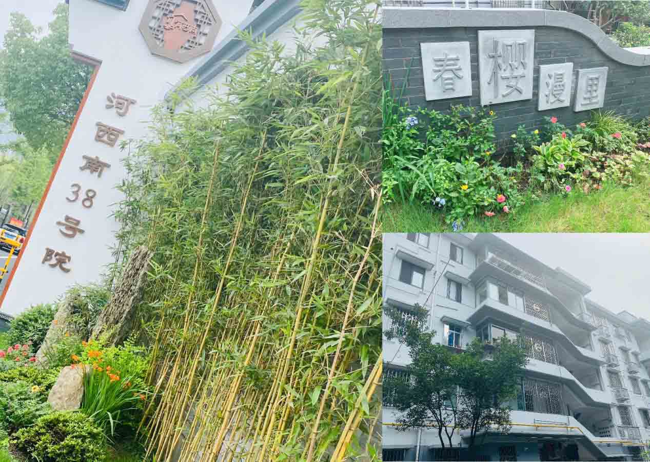 圖片1.jpg